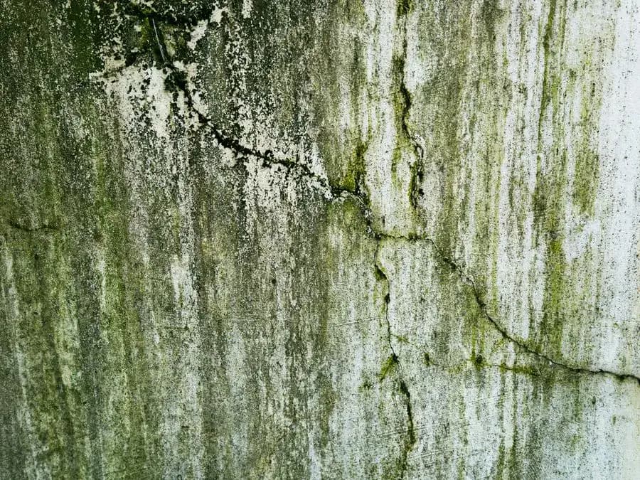 Pared con humedad, moho y fisuras